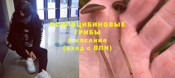 спиды Алексин