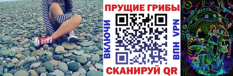 Галлюциногенные грибы MAGIC MUSHROOMS  мориарти клад  Чапаевск 